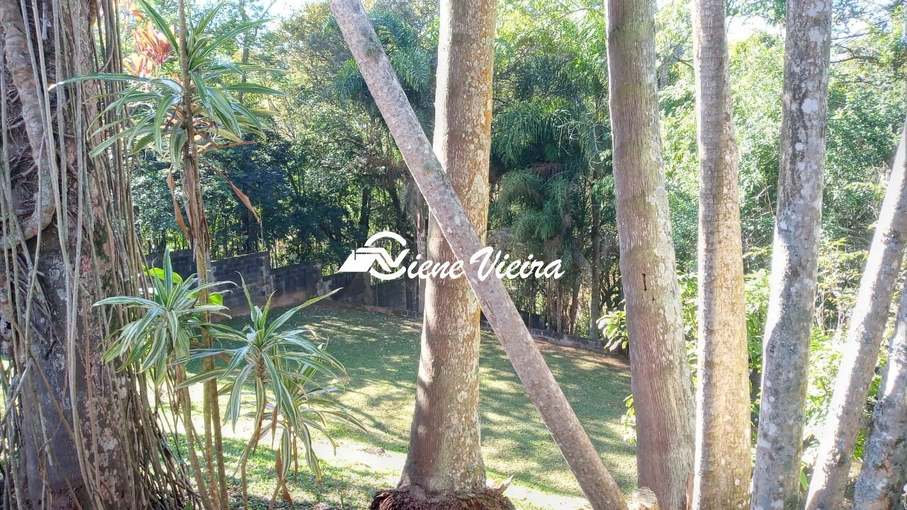 Chácara, 5 quartos, 5000 m² - Foto 25