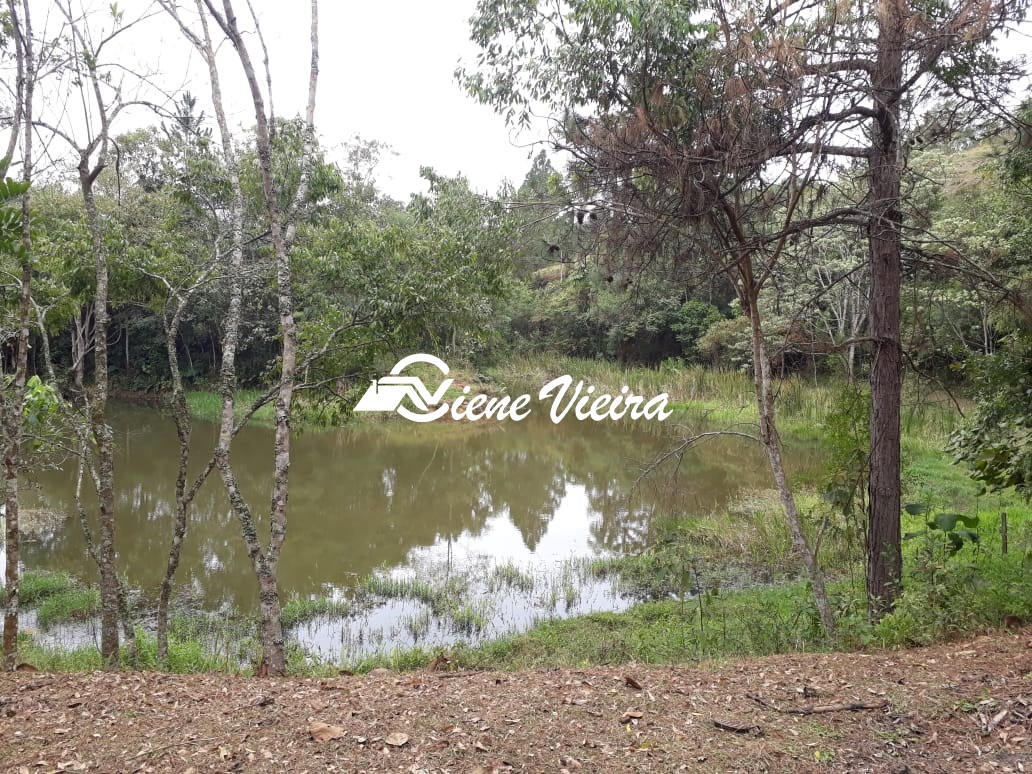 Chácara, 4 quartos, 8000 m² - Foto 16