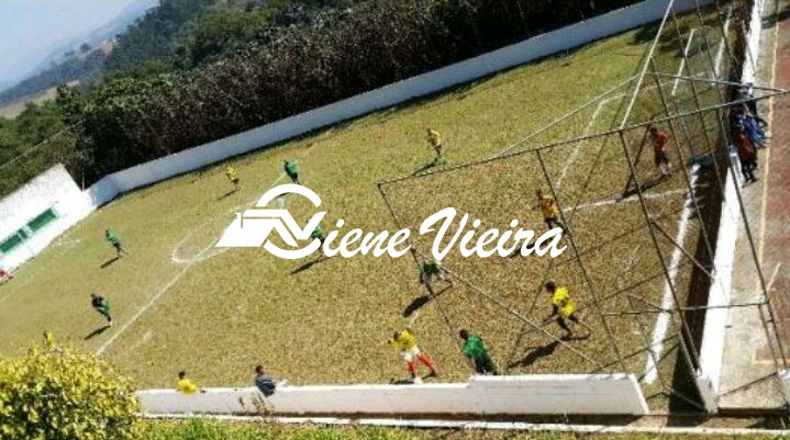 Chácara, 4 quartos, 4 hectares - Foto 13