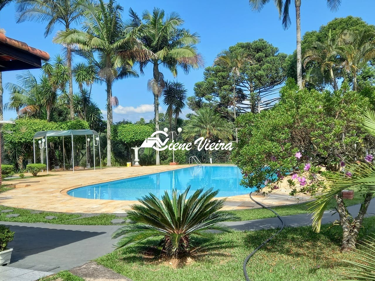 Chácara, 8 quartos, 9553 m² - Foto 6
