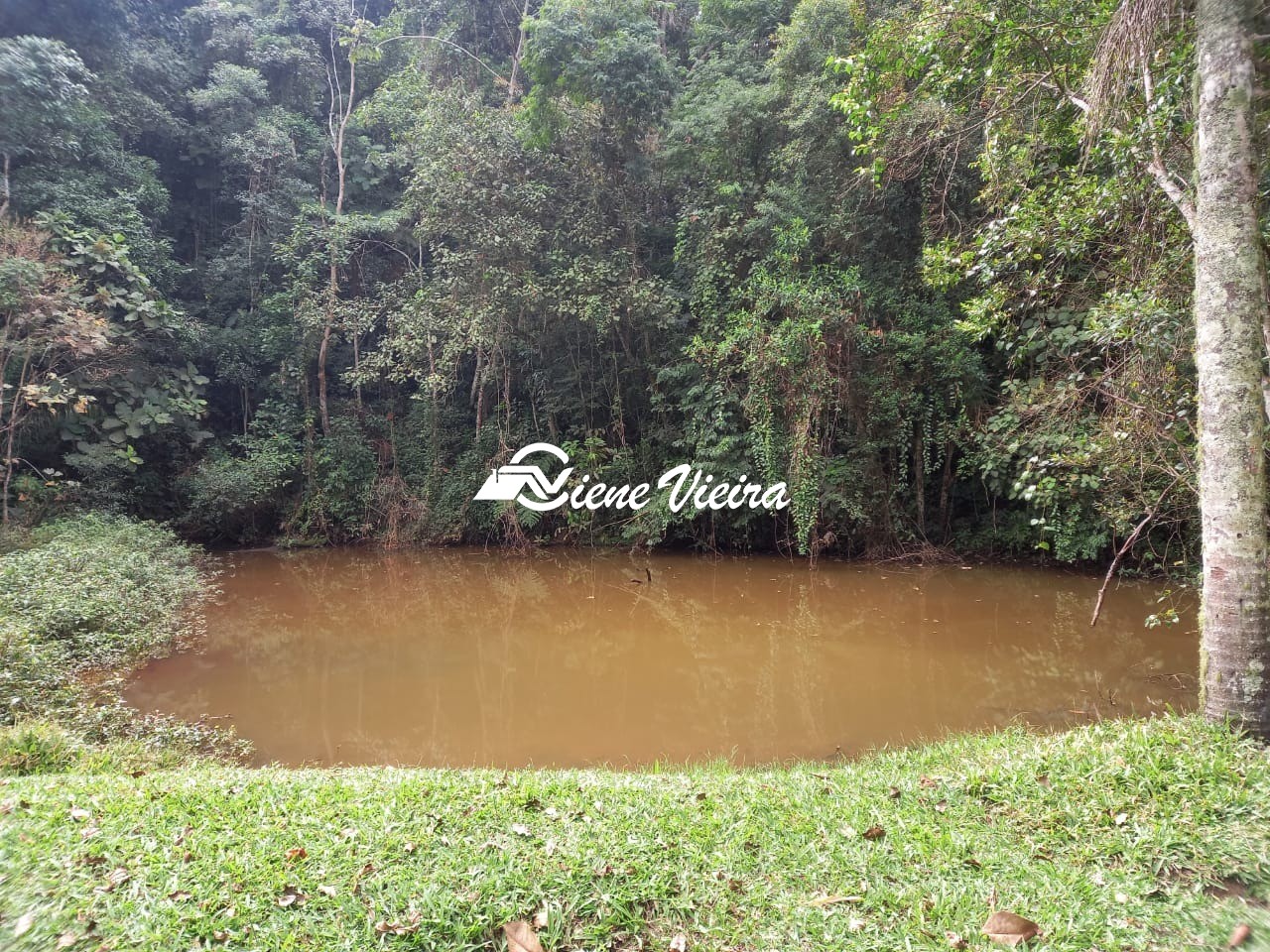Sítio, 3 quartos, 5 hectares - Foto 1