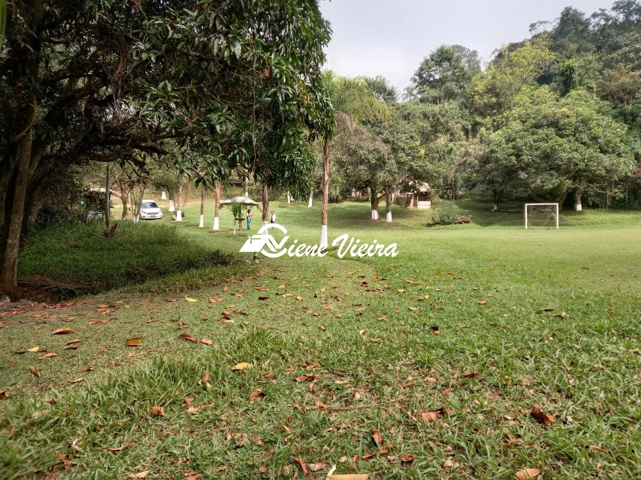Sítio, 3 quartos, 5 hectares - Foto 4