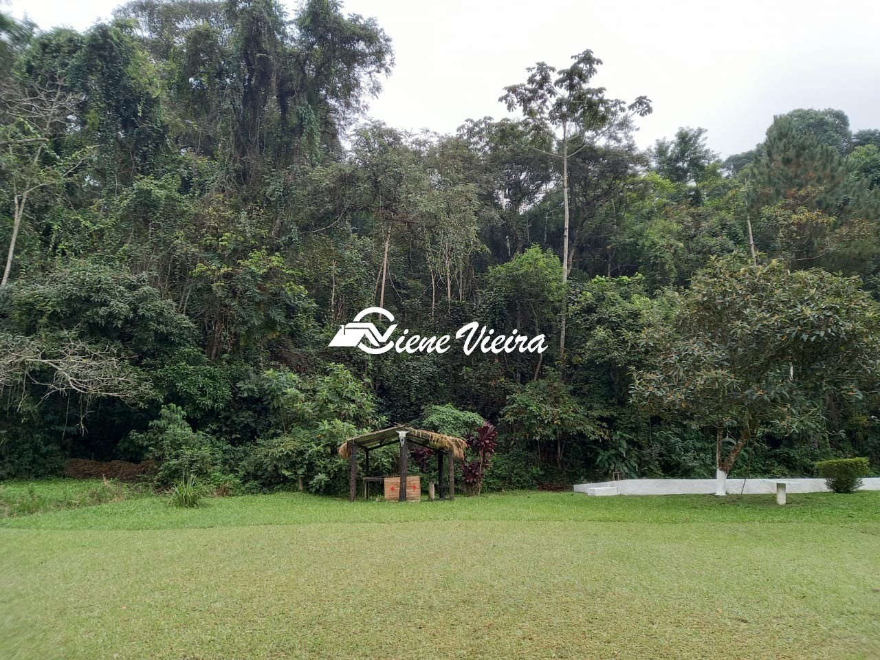 Sítio, 3 quartos, 5 hectares - Foto 6