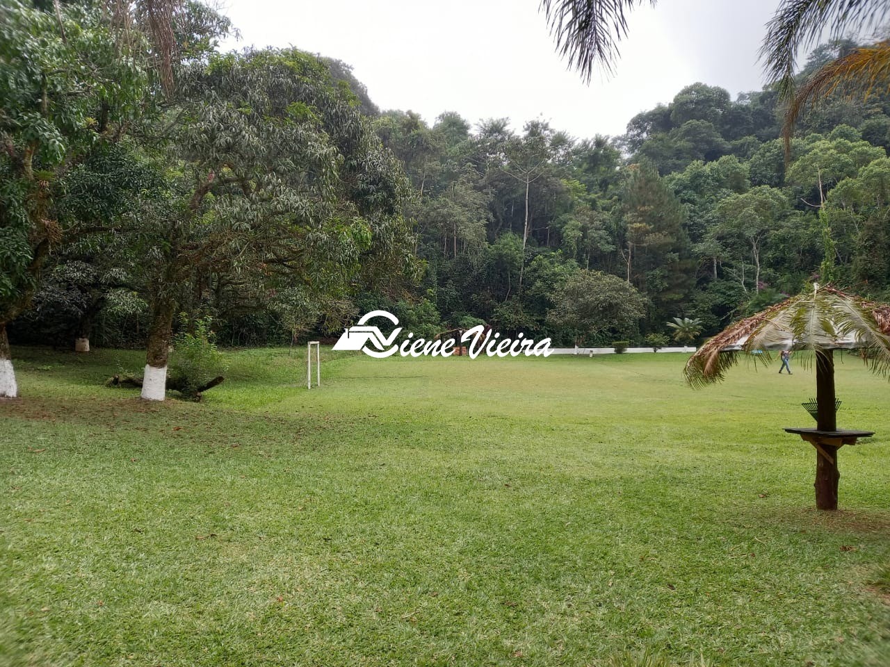 Sítio, 3 quartos, 5 hectares - Foto 7