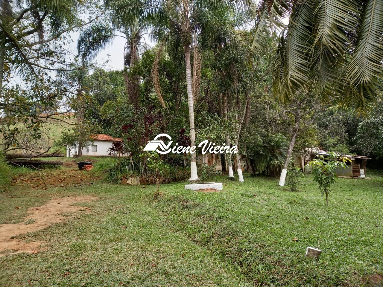 Sítio, 3 quartos, 5 hectares - Foto 8