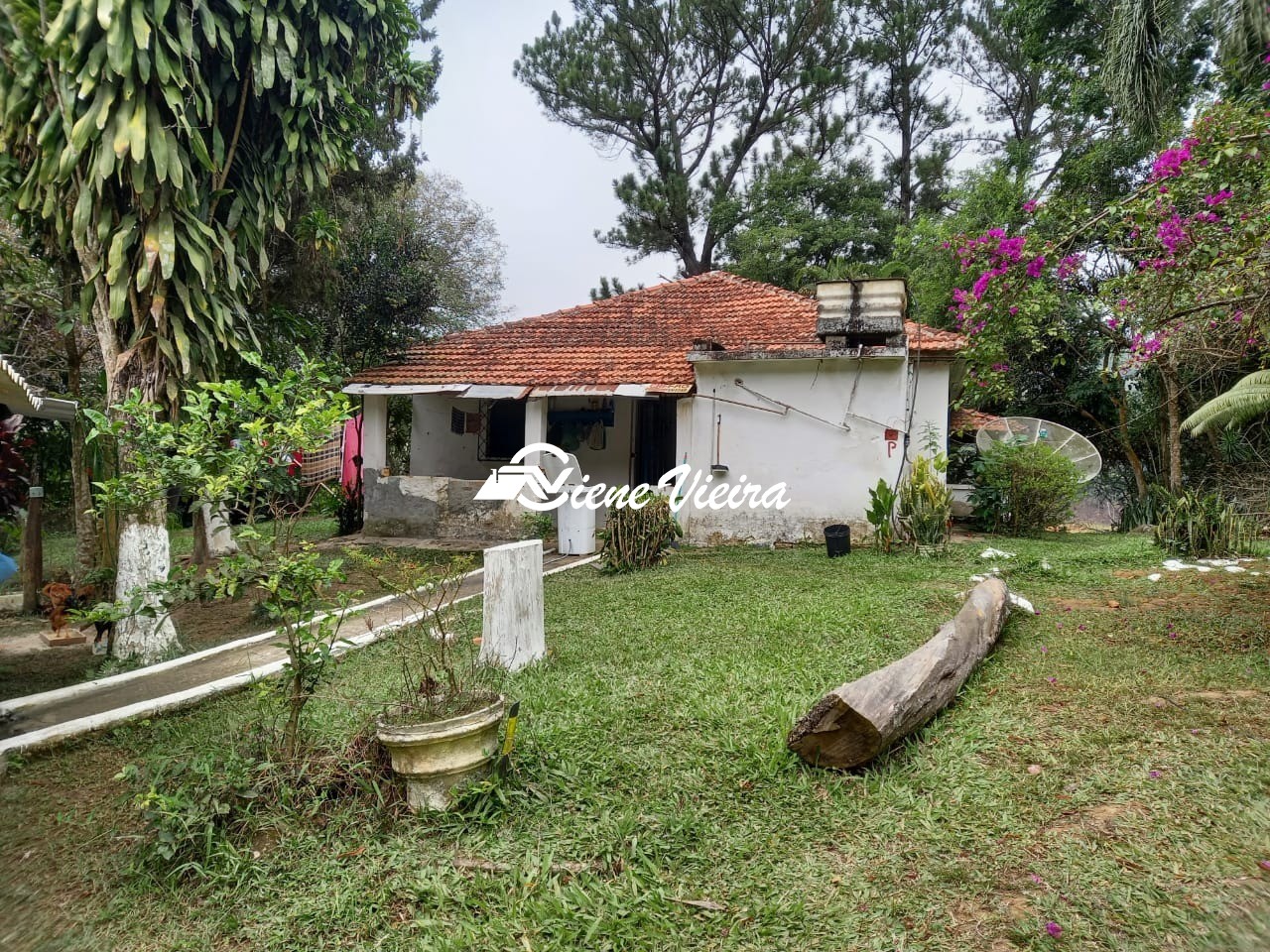 Sítio, 3 quartos, 5 hectares - Foto 9