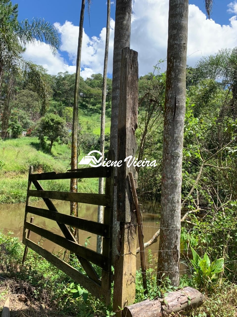 Sítio, 3 quartos, 5 hectares - Foto 15