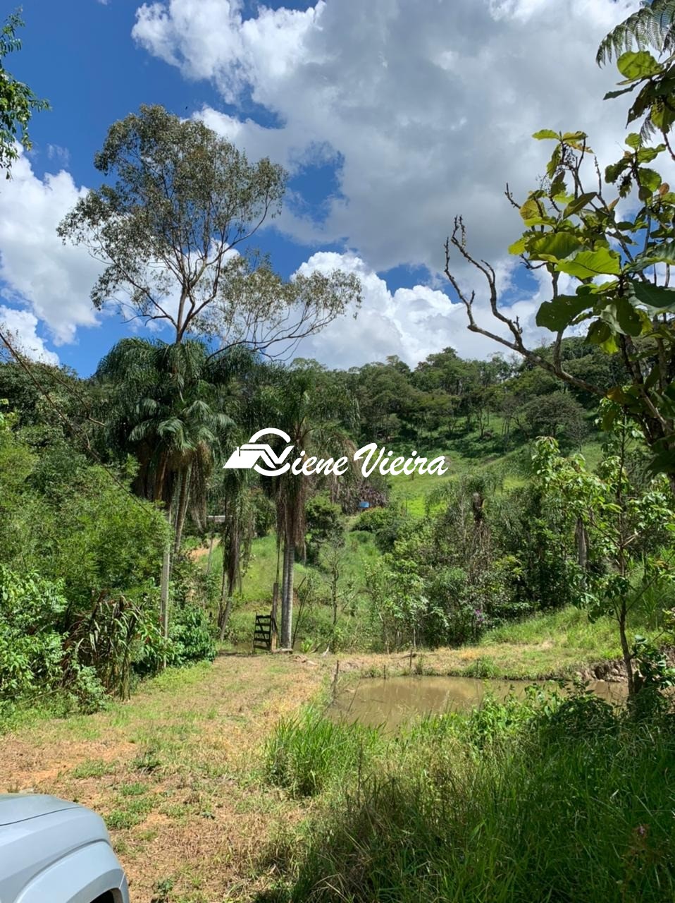 Sítio, 3 quartos, 5 hectares - Foto 16