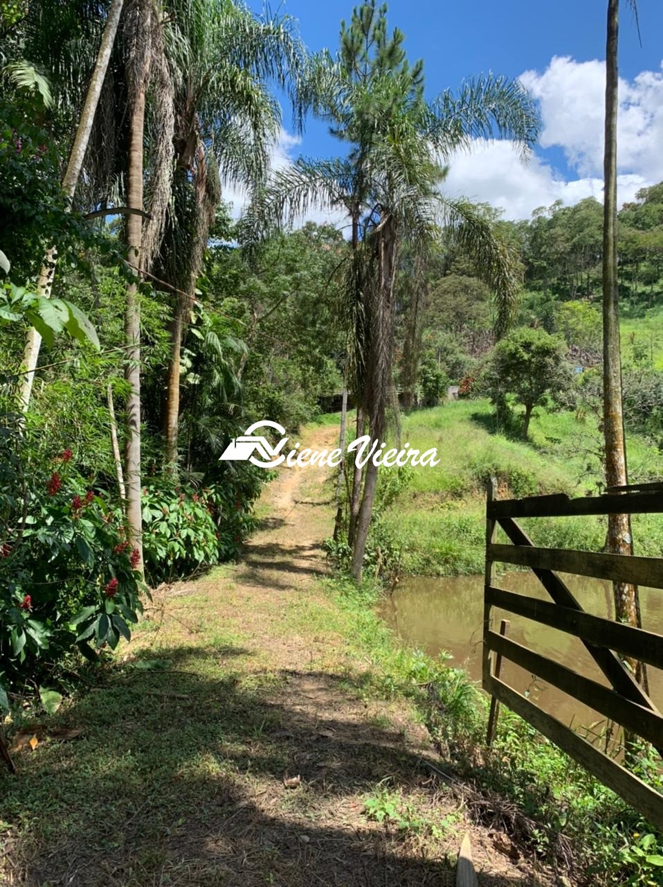 Sítio, 3 quartos, 5 hectares - Foto 17