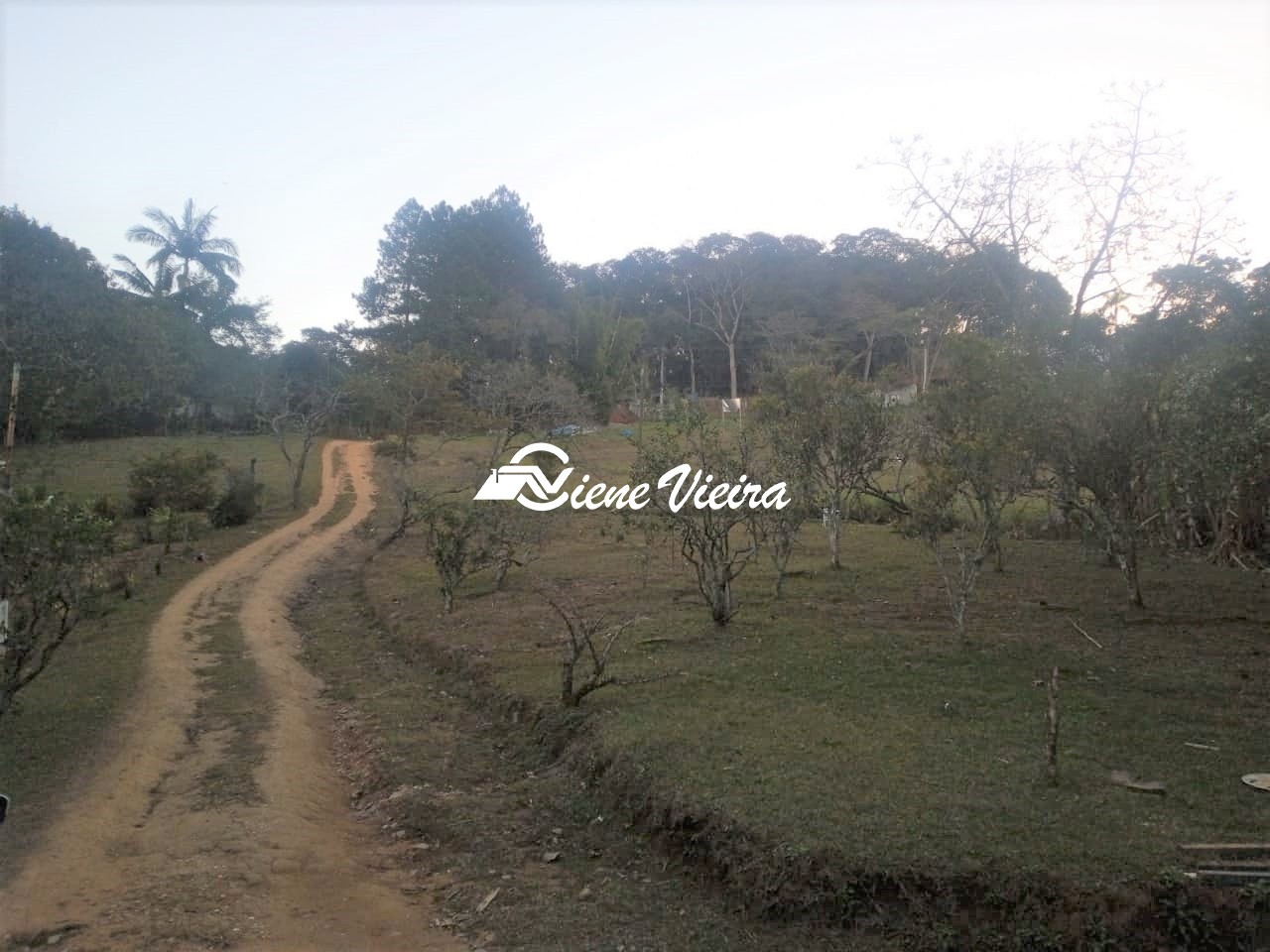 Terreno, 7000 m² - Foto 1