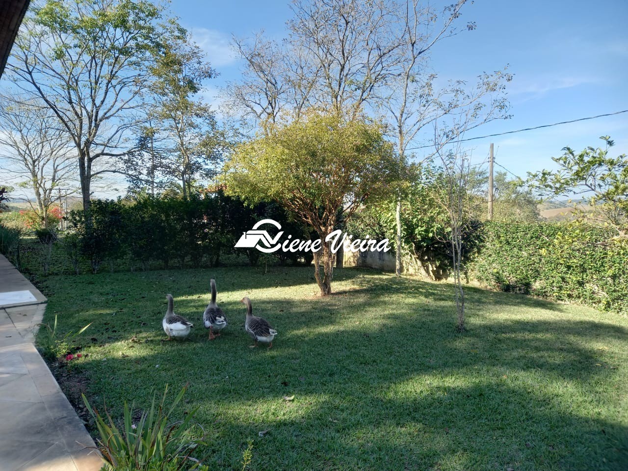 Chácara, 5 quartos, 2000 m² - Foto 19