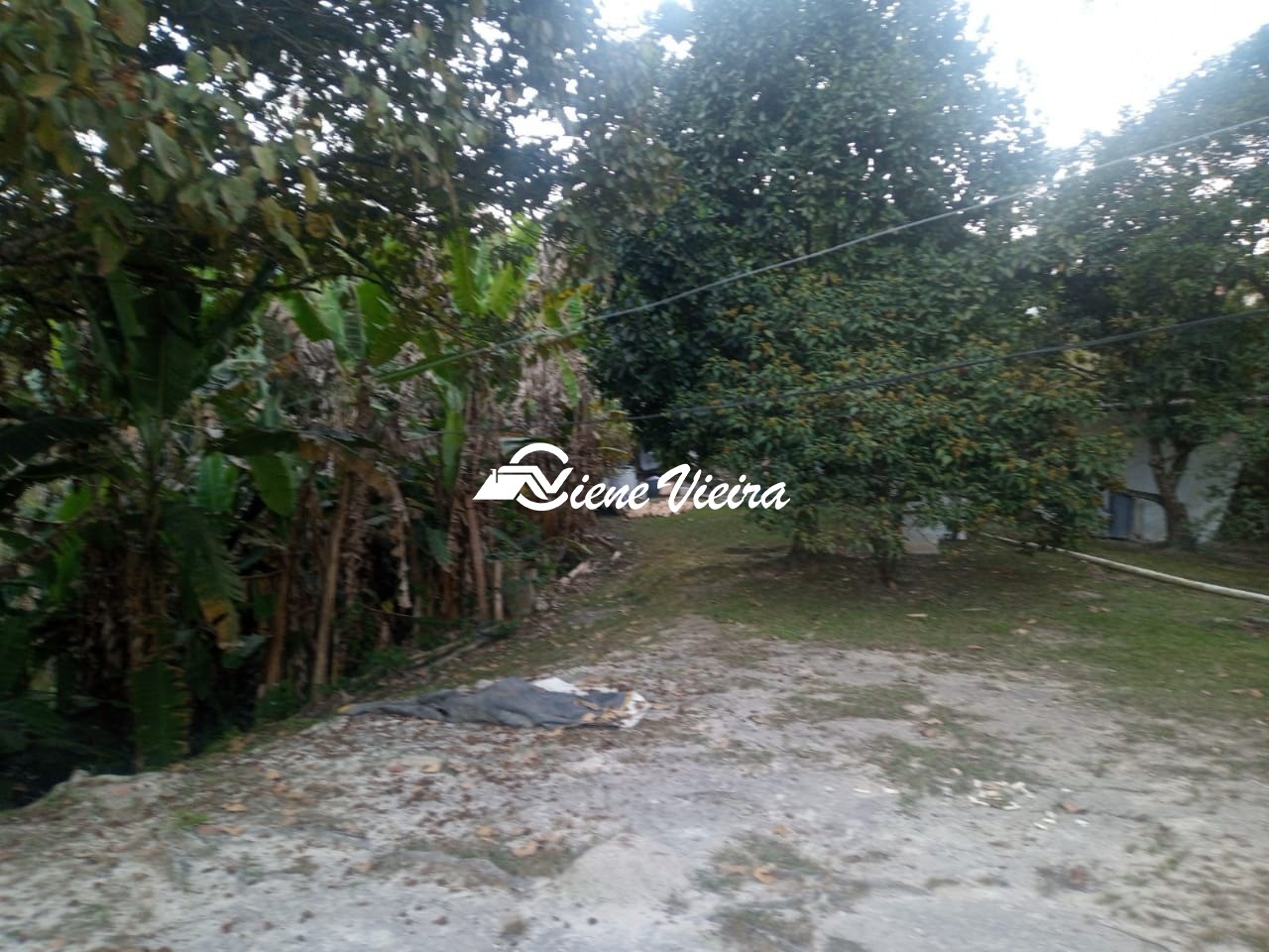 Terreno, 7000 m² - Foto 11