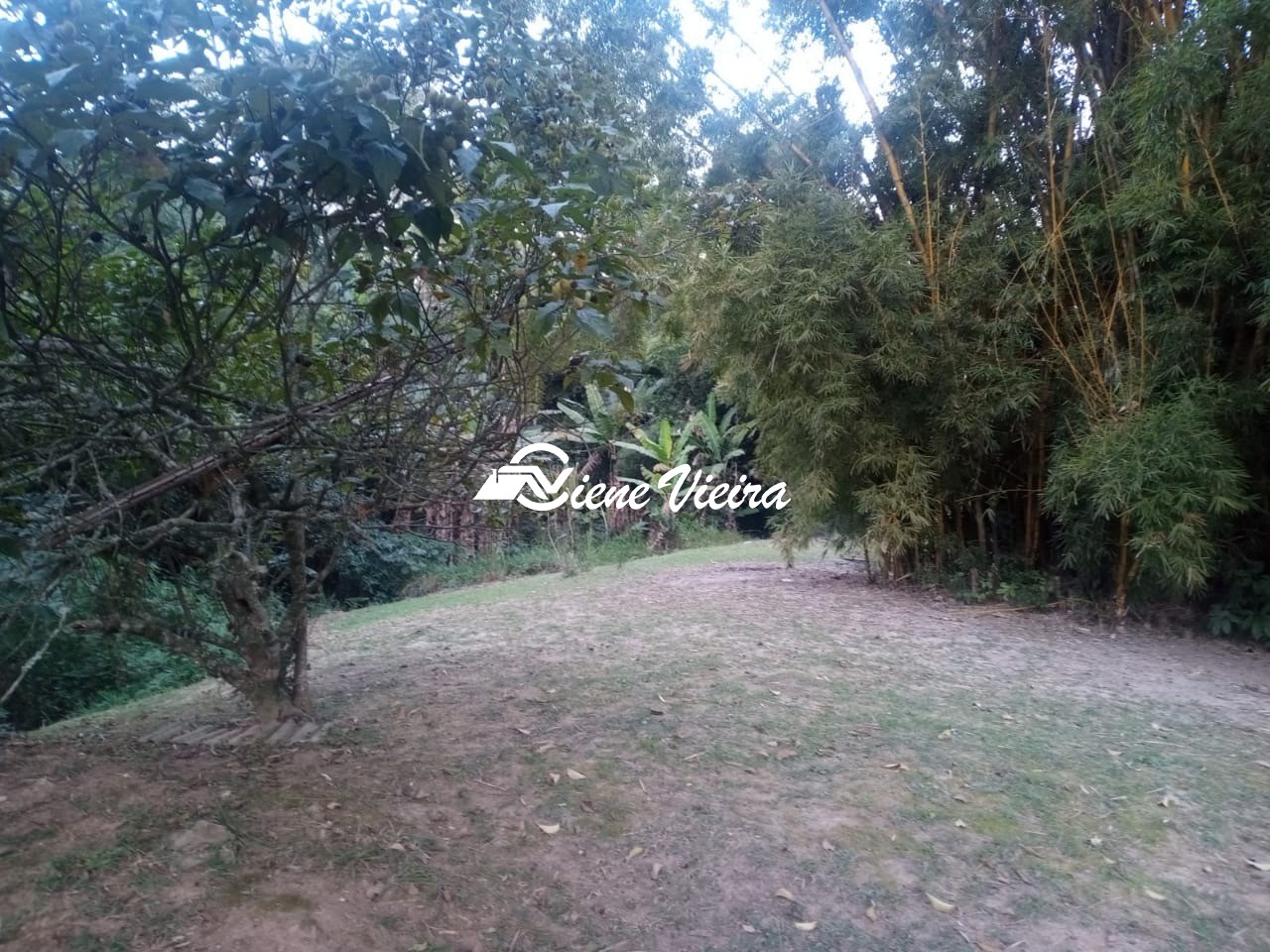 Terreno, 7000 m² - Foto 9
