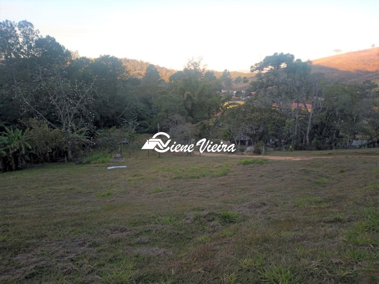Terreno, 7000 m² - Foto 8