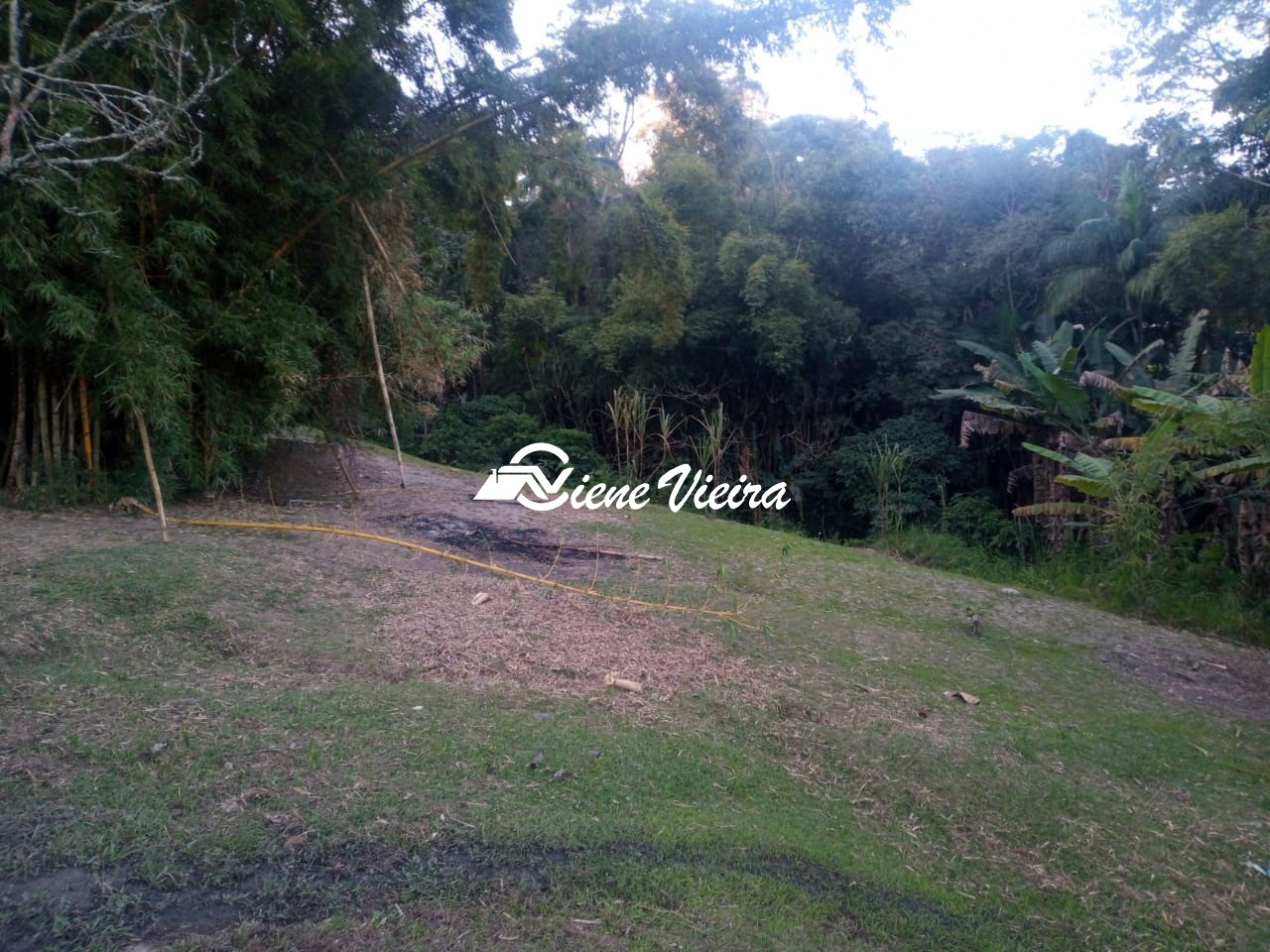 Terreno, 7000 m² - Foto 7