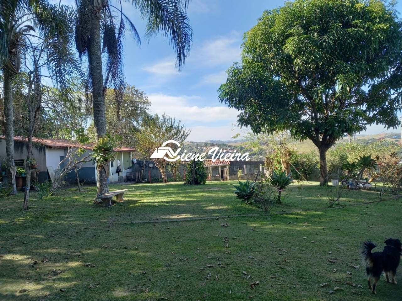 Chácara, 5 quartos, 2000 m² - Foto 15
