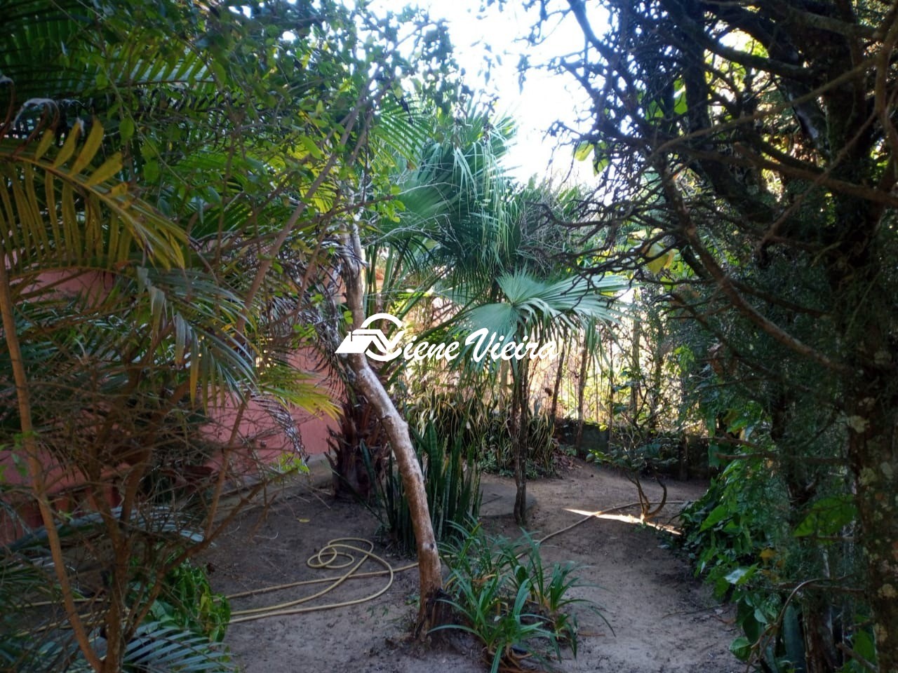 Terreno, 7000 m² - Foto 12