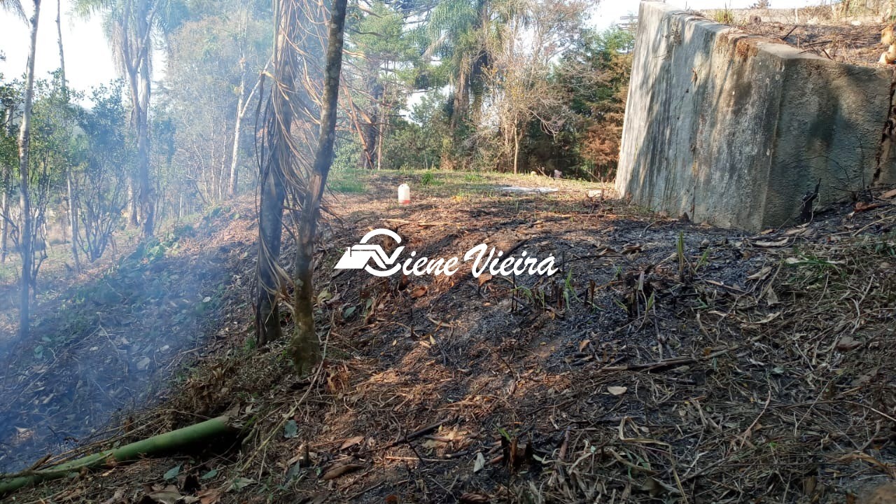 Terreno, 5000 m² - Foto 2