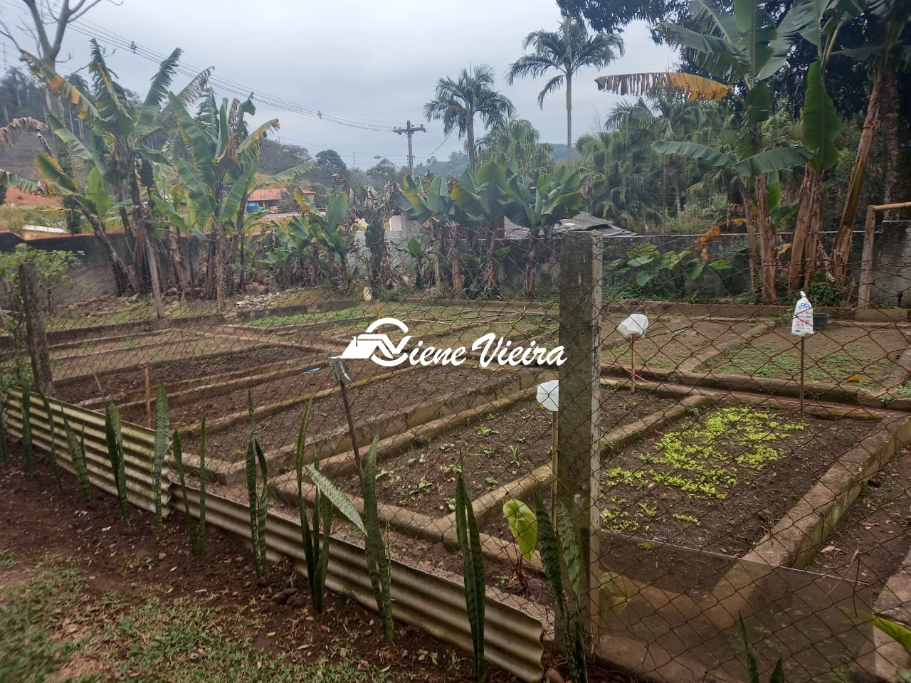 Chácara, 3 quartos, 1 hectares - Foto 3