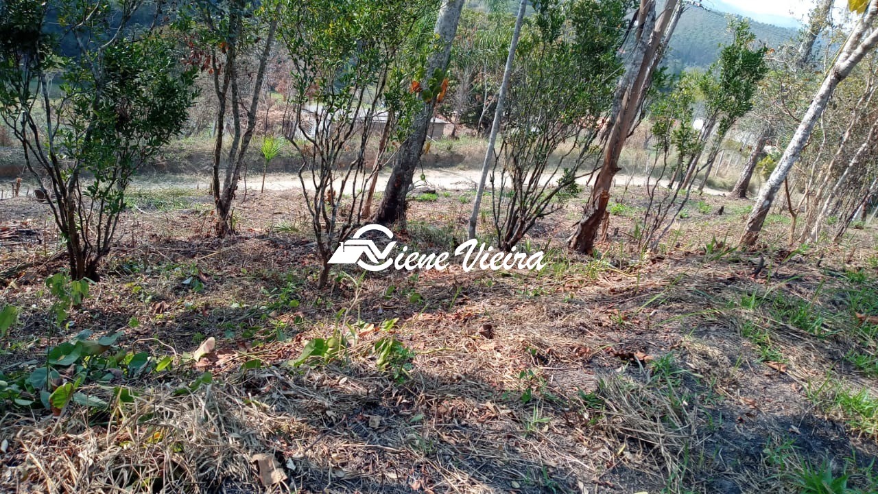Terreno, 5000 m² - Foto 3