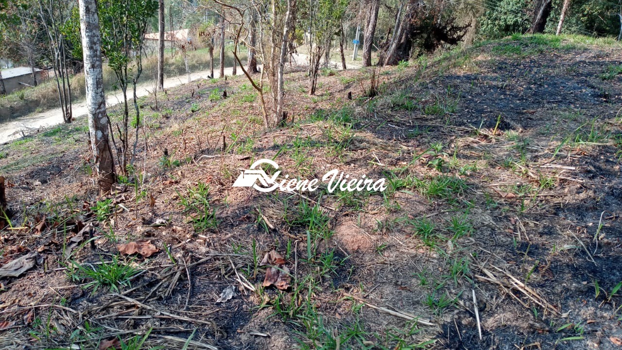 Terreno, 5000 m² - Foto 4