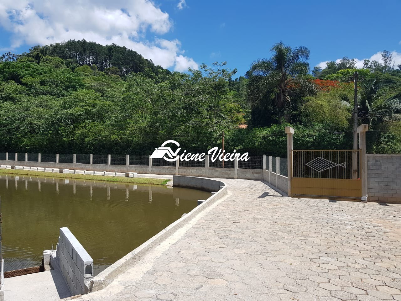 Chácara, 6 quartos, 3 hectares - Foto 11