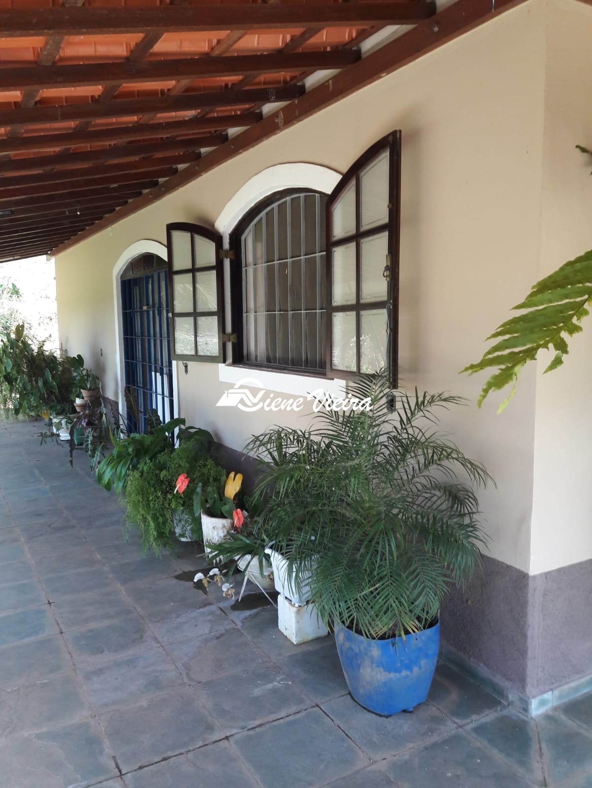 Chácara, 3 quartos, 2 hectares - Foto 4