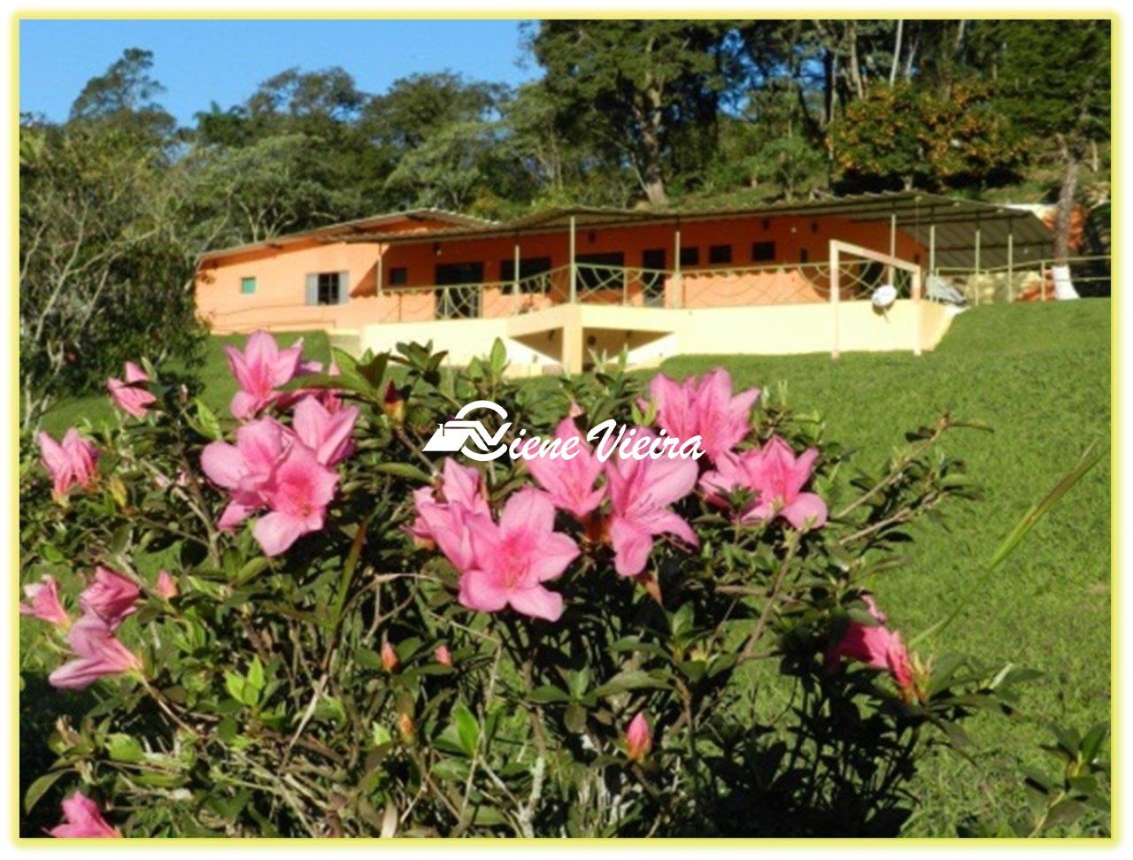 Chácara, 6 quartos, 3 hectares - Foto 6