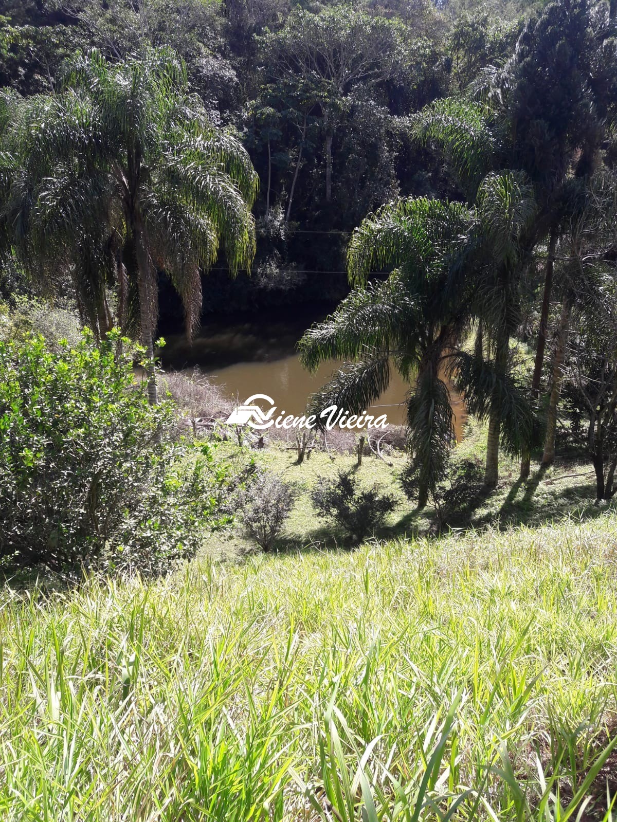 Chácara, 3 quartos, 2 hectares - Foto 40