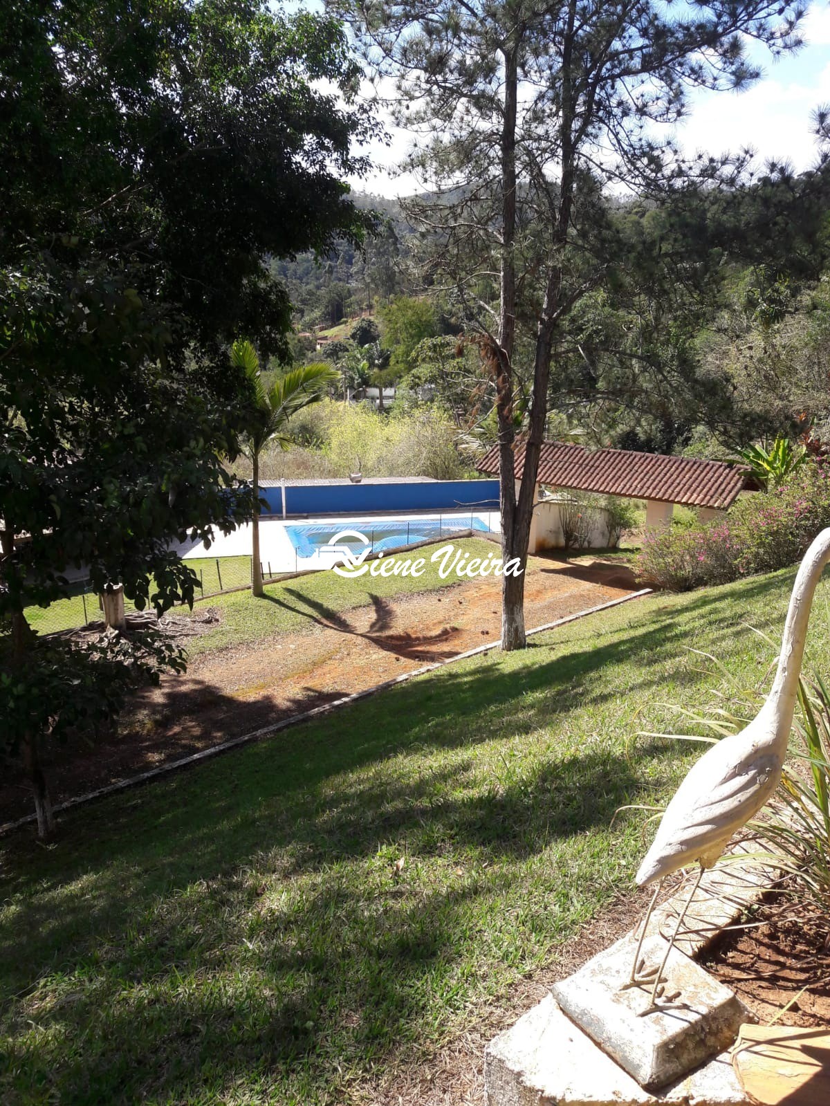 Chácara, 3 quartos, 2 hectares - Foto 8