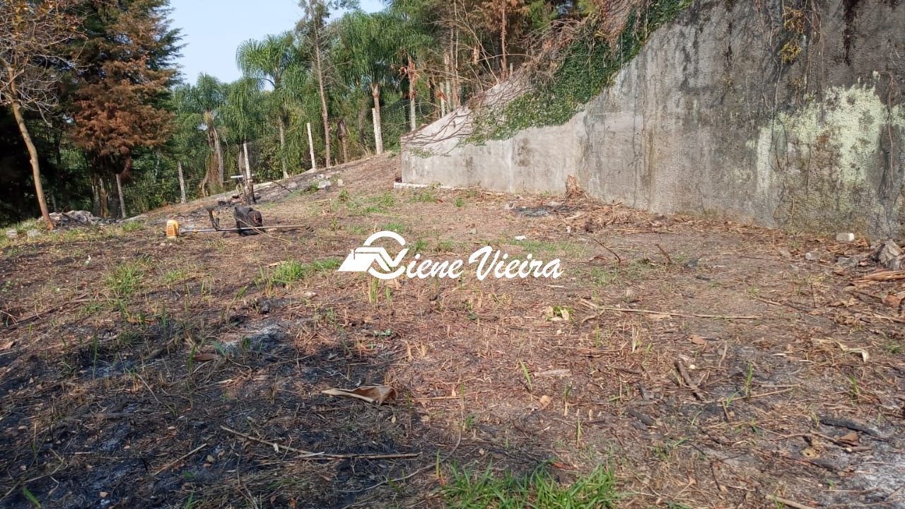 Terreno, 5000 m² - Foto 5