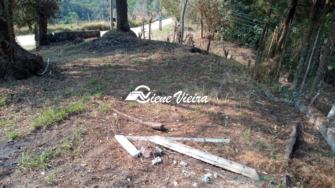 Terreno, 5000 m² - Foto 8
