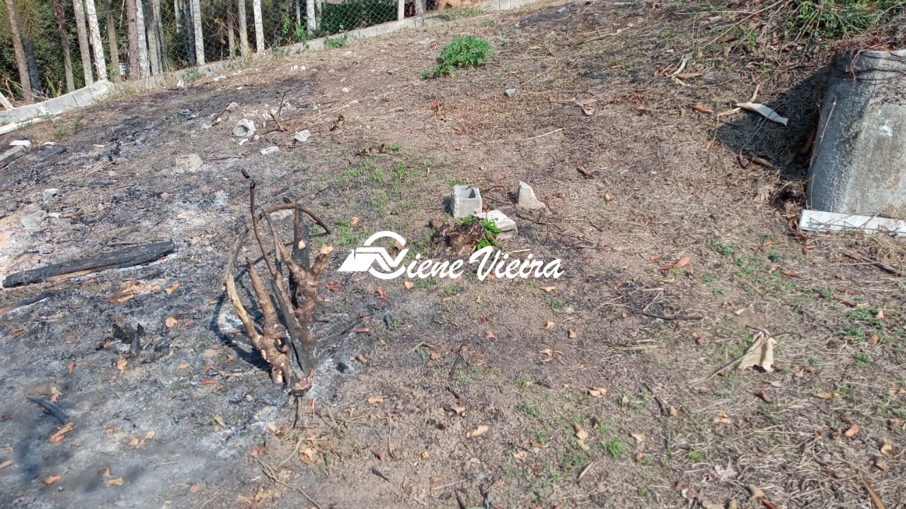 Terreno, 5000 m² - Foto 10