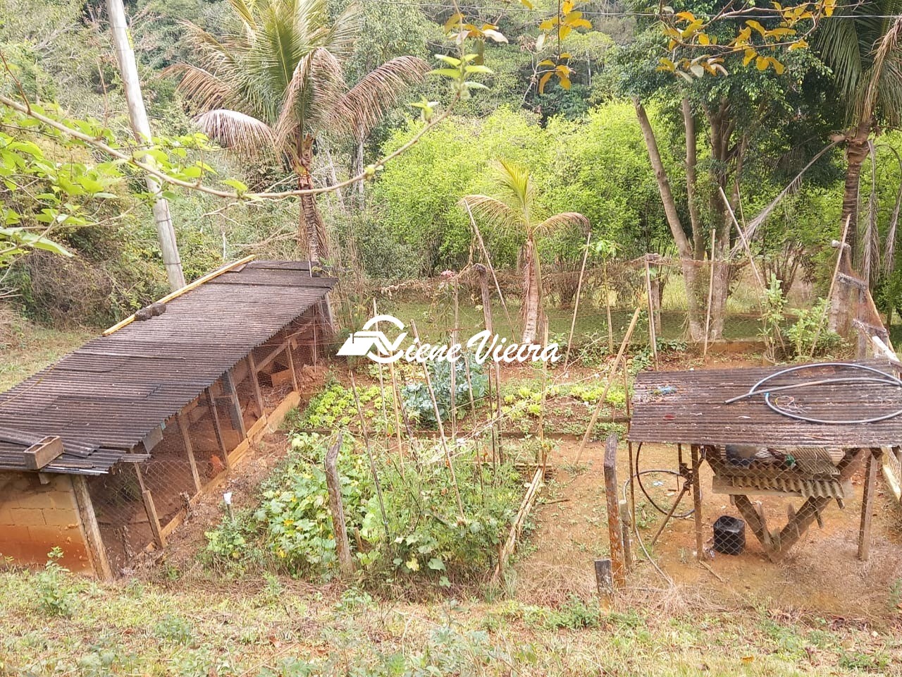 Chácara, 3 quartos, 2 hectares - Foto 39