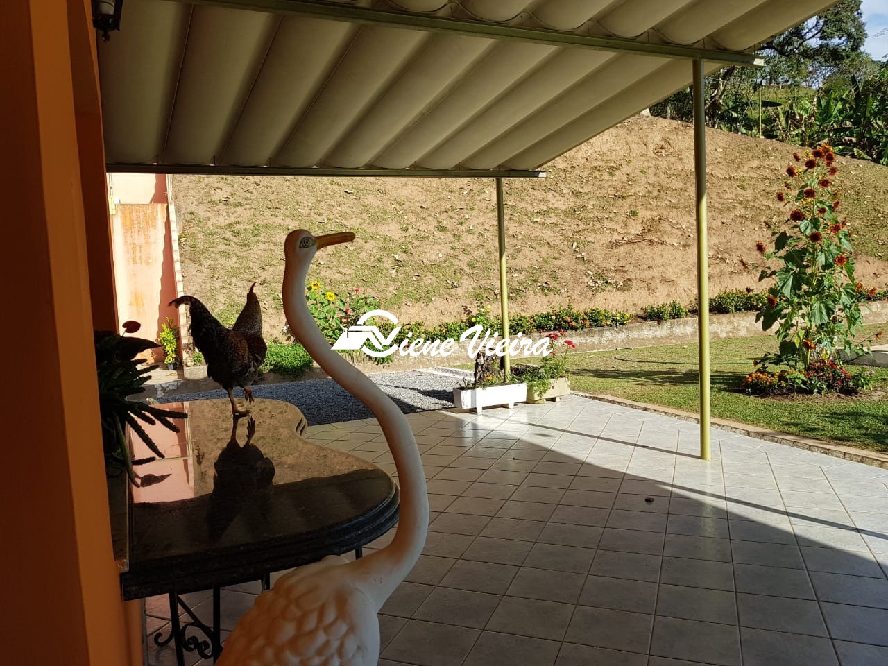 Chácara, 6 quartos, 3 hectares - Foto 25