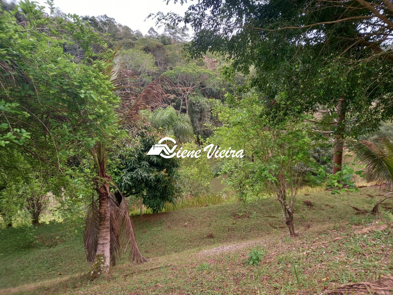 Chácara, 3 quartos, 2 hectares - Foto 41