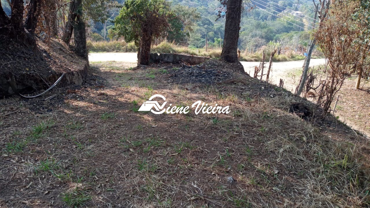 Terreno, 5000 m² - Foto 1