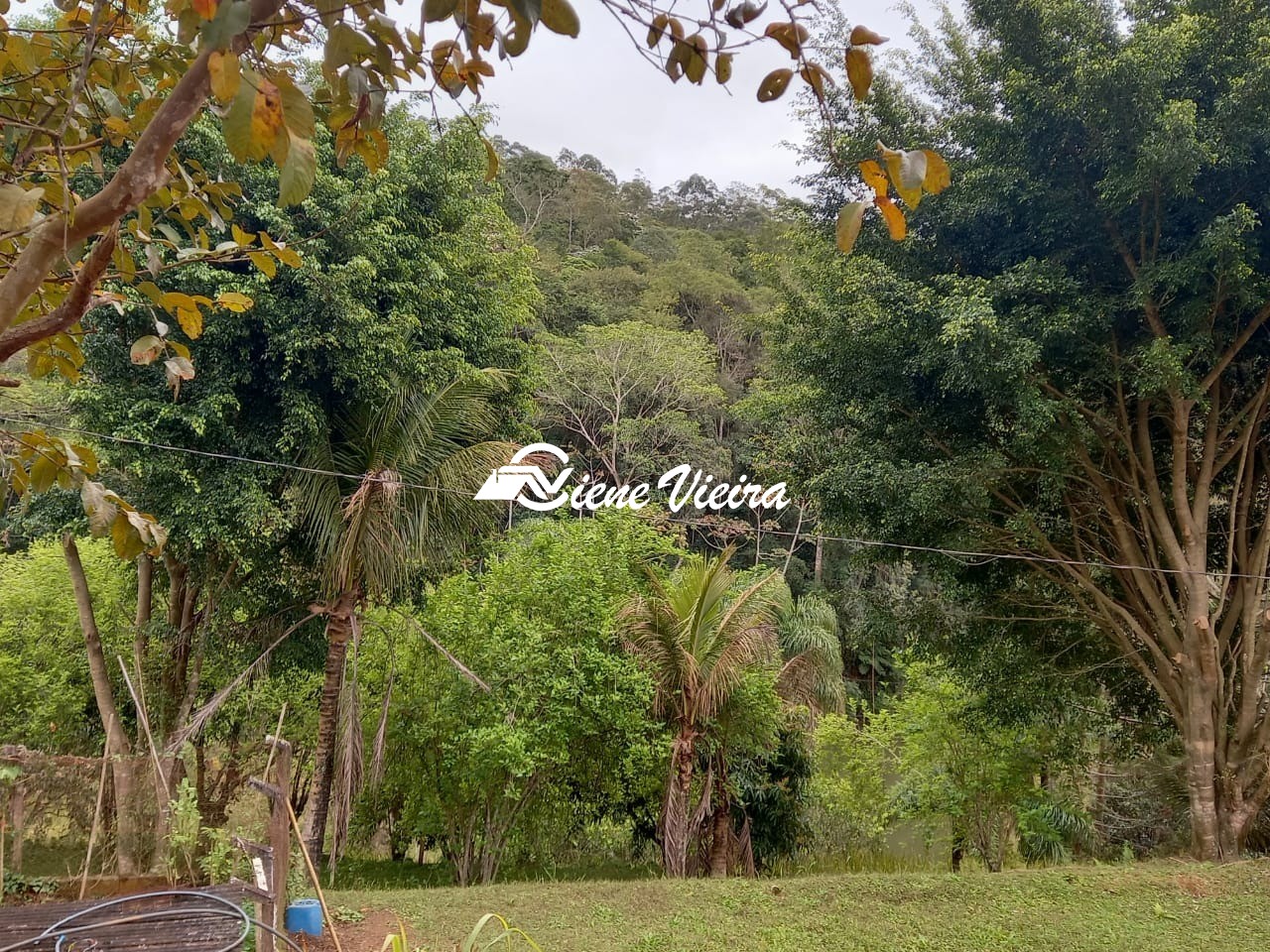 Chácara, 3 quartos, 2 hectares - Foto 43