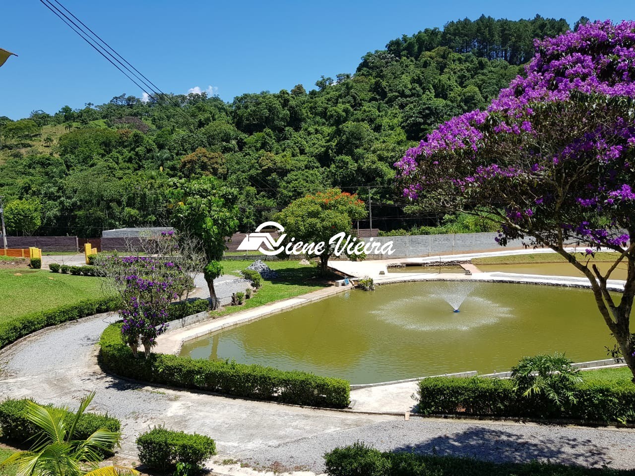 Chácara, 6 quartos, 3 hectares - Foto 9