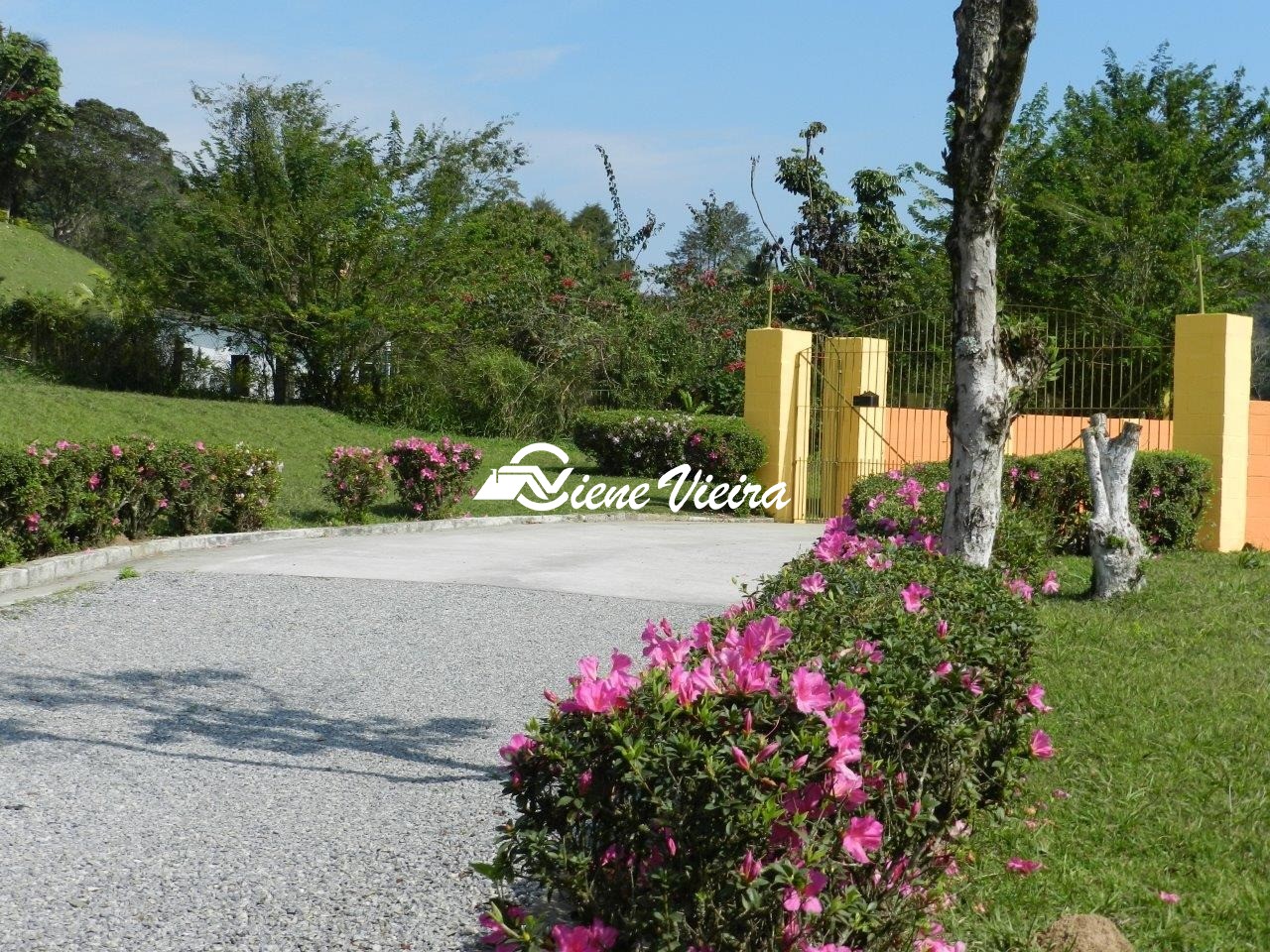 Chácara, 6 quartos, 3 hectares - Foto 13
