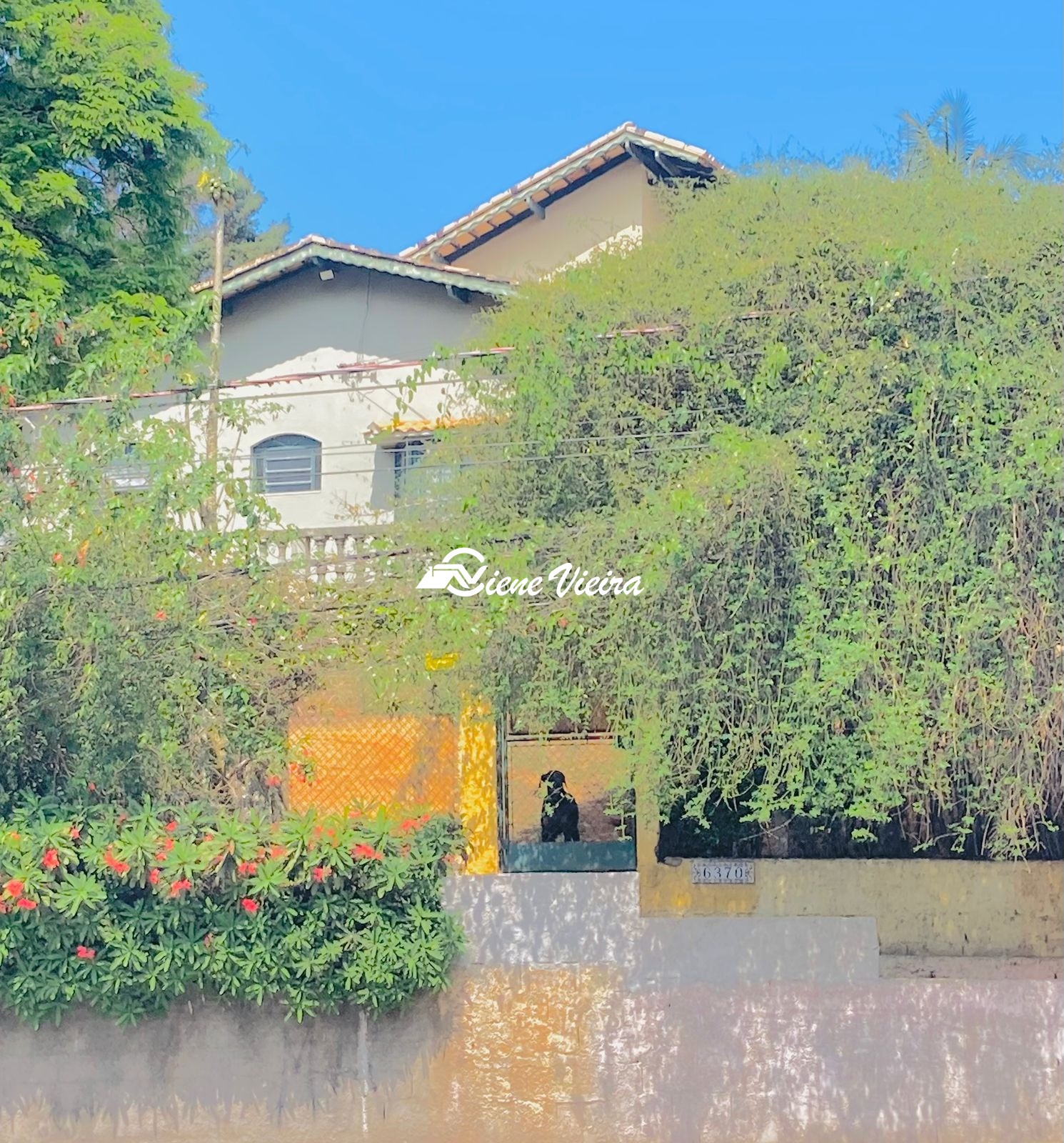 Casa, 3 quartos, 1650 m² - Foto 1