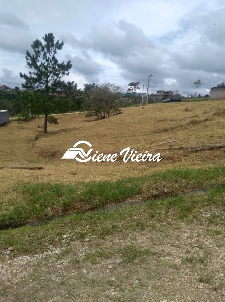 Terreno, 1204 m² - Foto 3