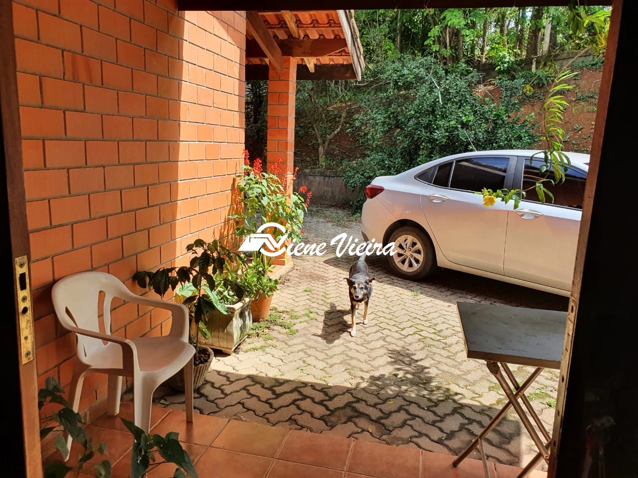 Chácara, 4 quartos, 3225 m² - Foto 10