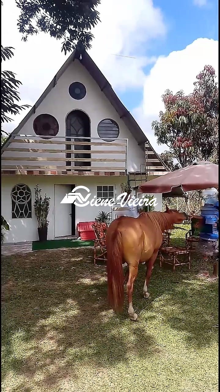 Chácara, 4 quartos, 2 hectares - Foto 4
