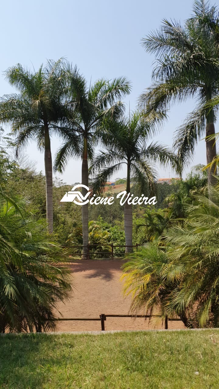 Chácara, 4 quartos, 3225 m² - Foto 6
