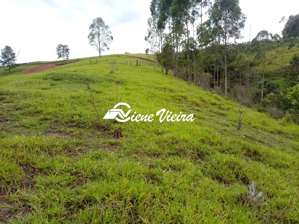 Terreno, 2 hectares - Foto 16