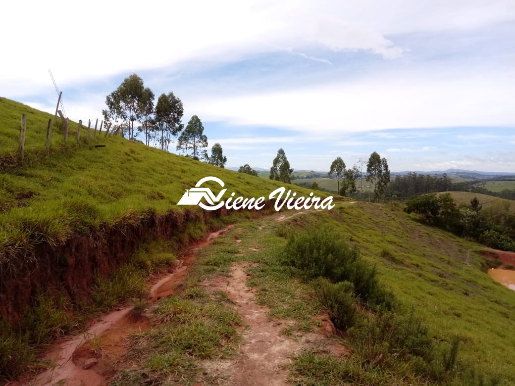 Terreno, 2 hectares - Foto 8