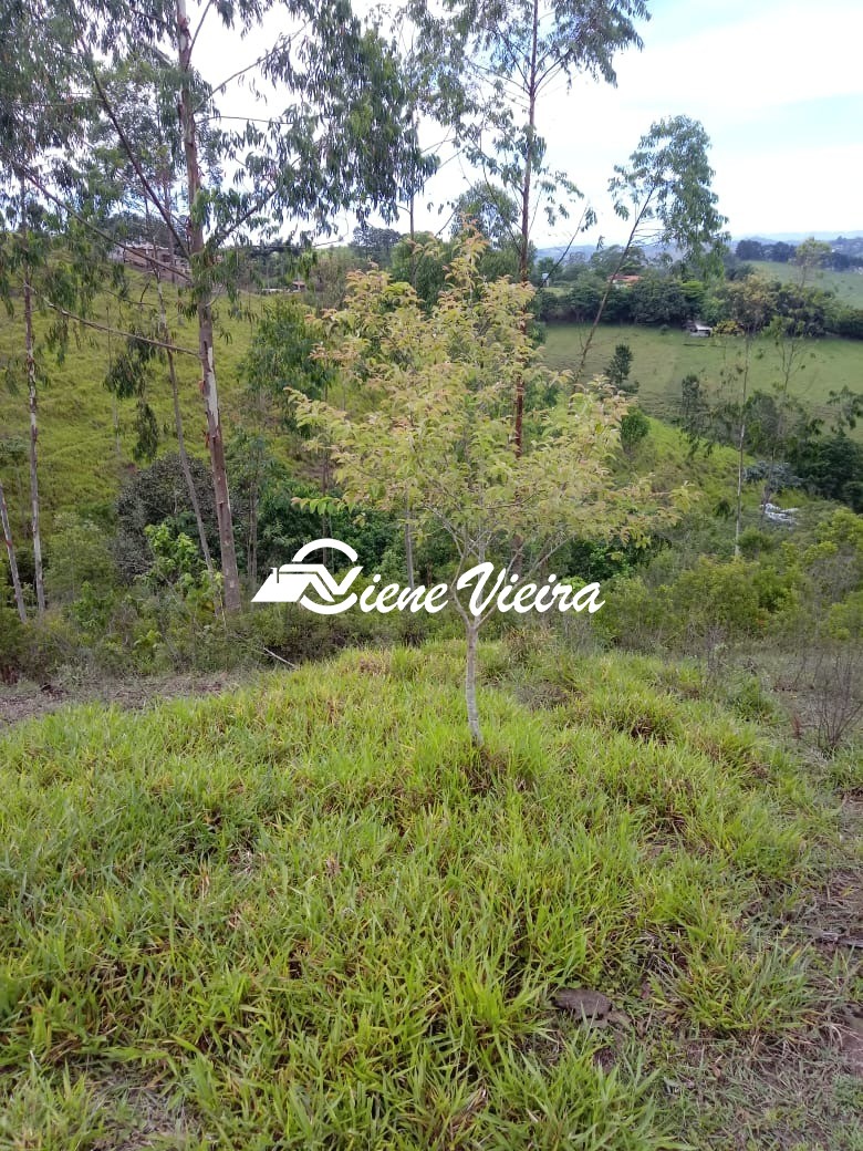 Terreno, 2 hectares - Foto 29