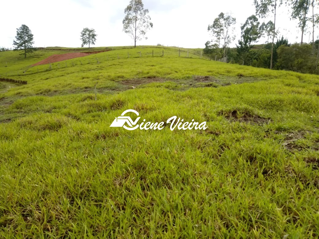 Terreno, 2 hectares - Foto 13