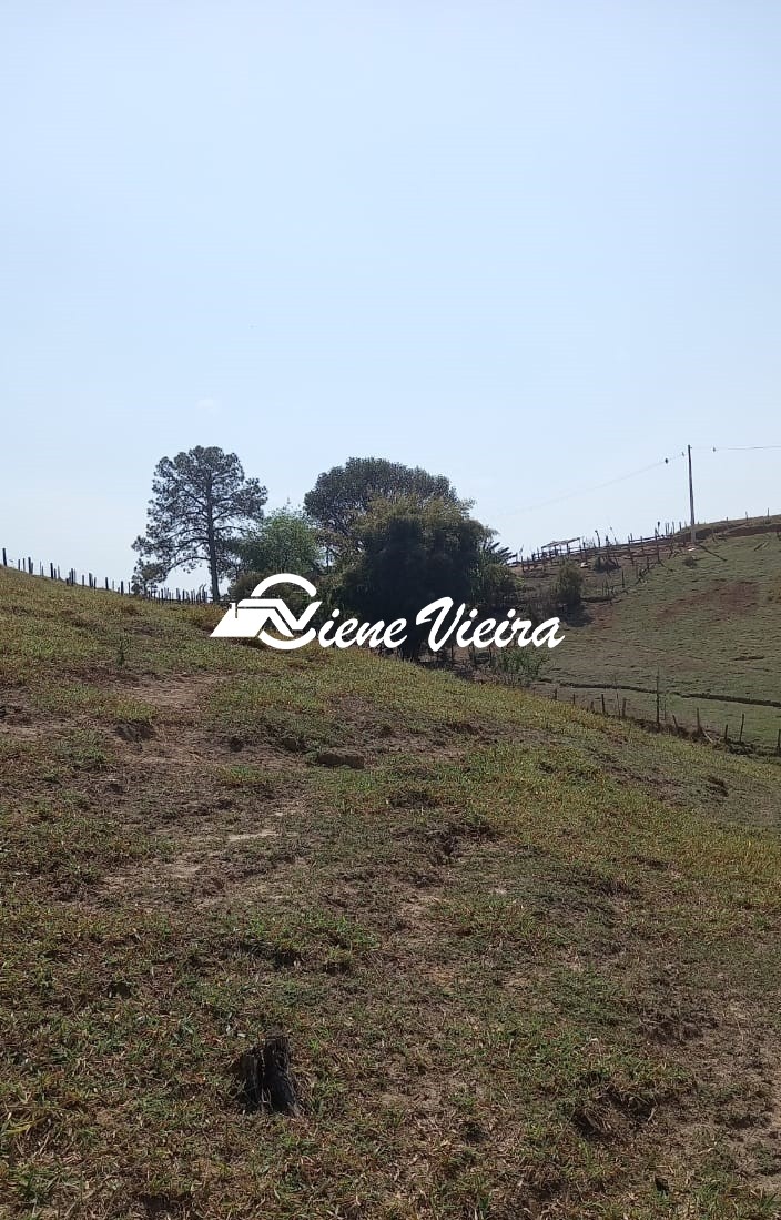 Terreno, 2 hectares - Foto 3